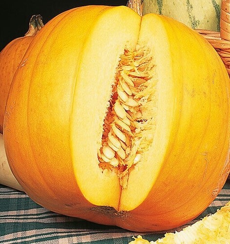 Herb veg seeds large - herb,