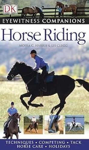 Horse riding eyewitness - horse, riding: