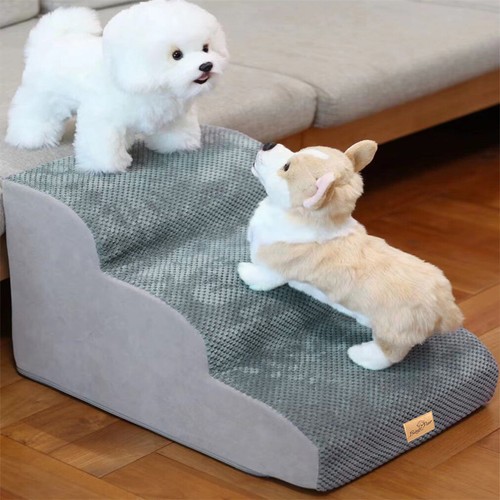 Dog stairs pet - dog,