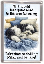 Tibetan terrier dog - tibetan, fridge