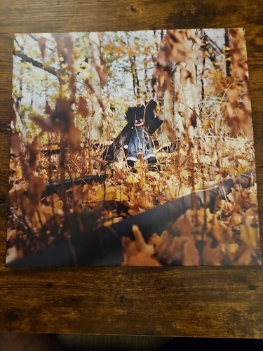 Billy woods golliwog lp - woods,
