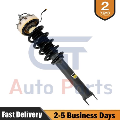 Rear shock absorber strut - rear,