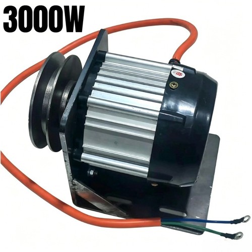 3000w 12v 220v brushless - 3000w, ac