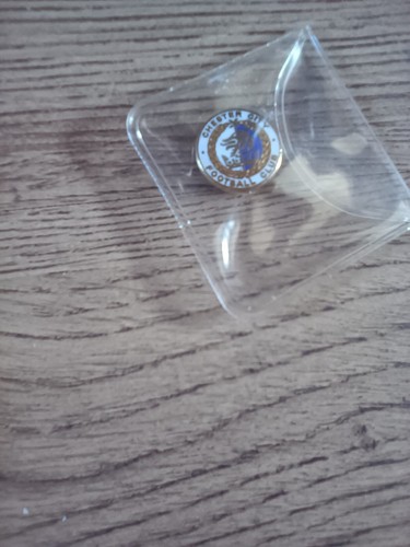 Chester city vintage enamel - vintage,