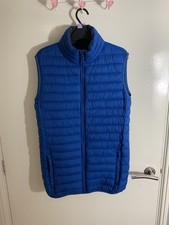 Fat face cobalt blue padded