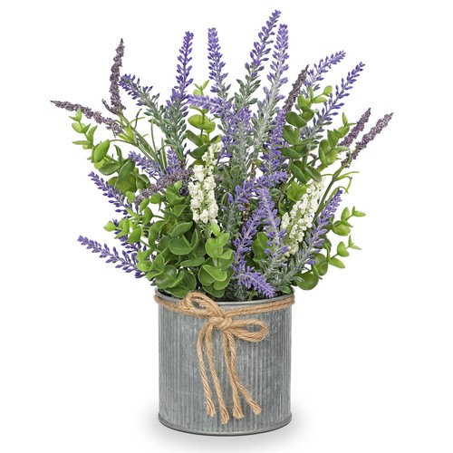 Dilatata rustic lavender - rustic,