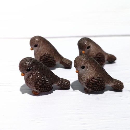 Cute little birds animal - little,