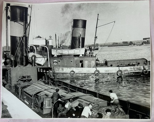 Cerva steam tug - steam,