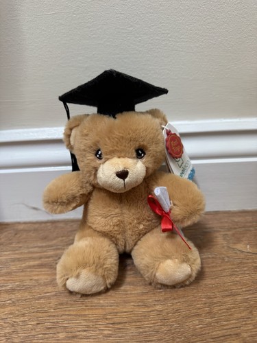 Super cute graduation teddy - super,