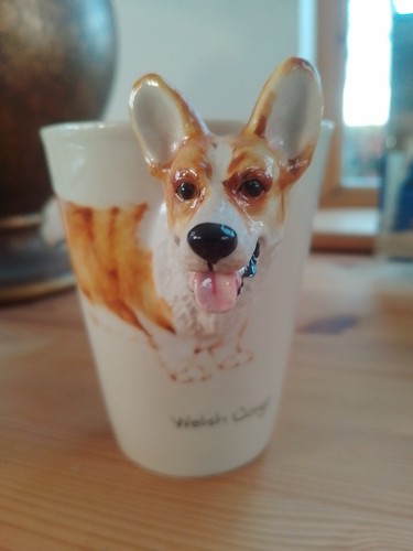 Blue witch welsh corgi - witch,
