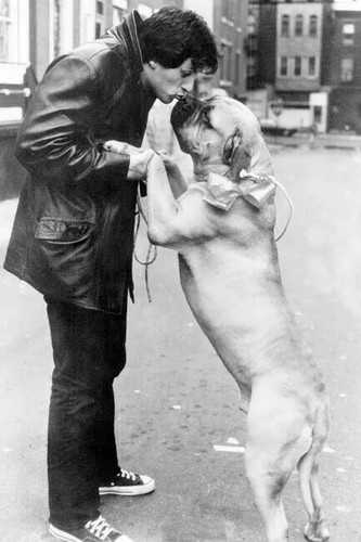 Rocky sylvester stallone - rocky,