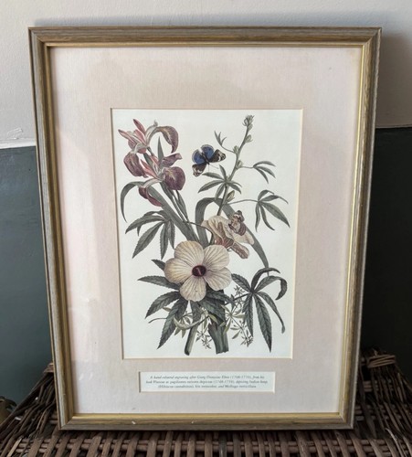 Vintage hand coloured - vintage, hand-coloured
