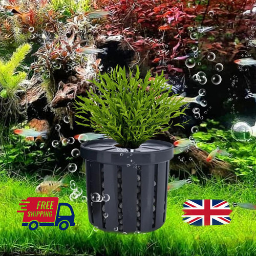 4pcs aquarium plant holder - 4pcs,