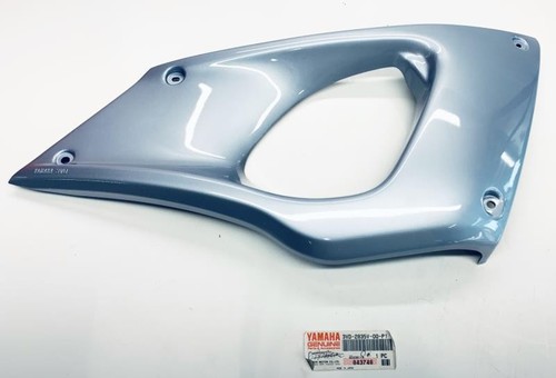 Right fairing panel - fairing,