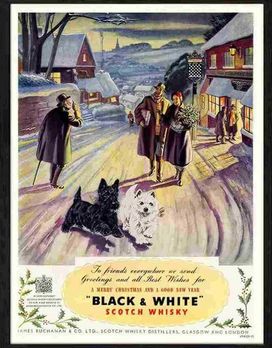 Advert photo 128 black and - photo,