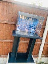 40l Fish tank in excellent condition with a black wooden stand.