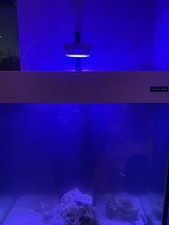 PopBloom RL90 Marine/Reef LED Aquarium Lighting