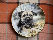 Border Terrier decorative plate, 22 carat gold, Little Rascal, Danbury mint