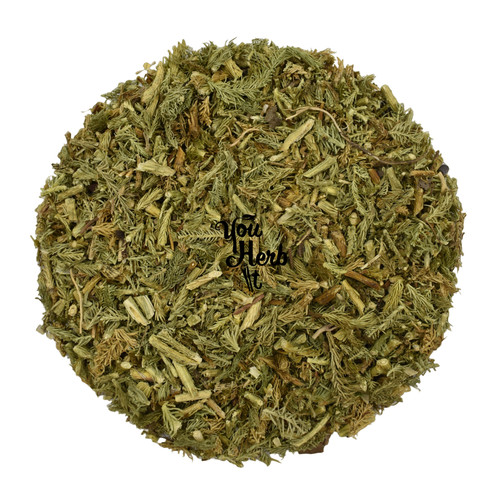 Stag horn club moss - -,