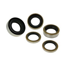 Shaft Seal Set Engine for