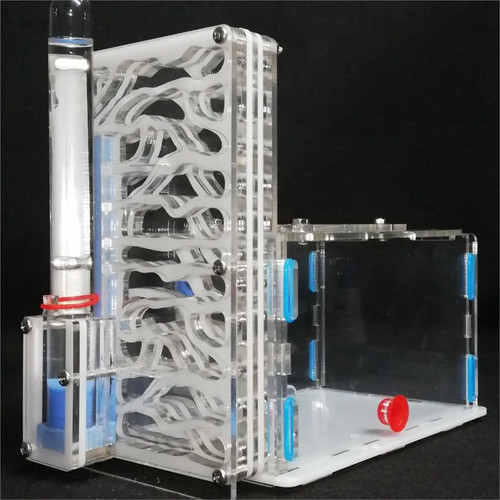 Ant farm with feeding - feeding, area