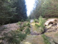 Photo A3 Mountain bike trail