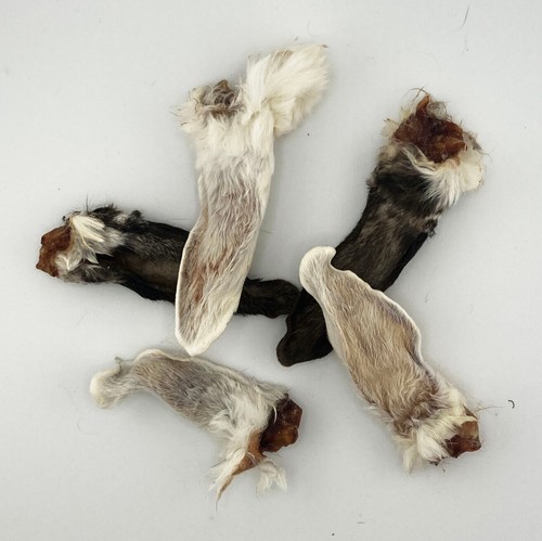Dehydrated rabbit ears dog - dehydrated,