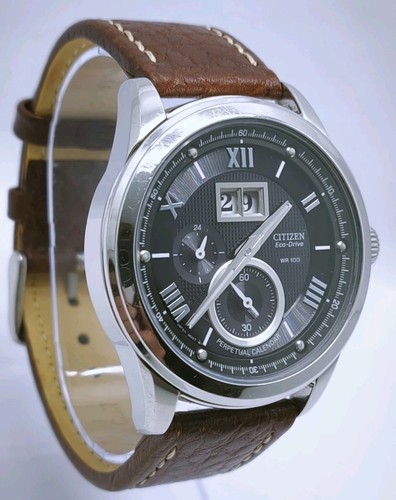 Vtg 2007 citizen perpetual - citizen,