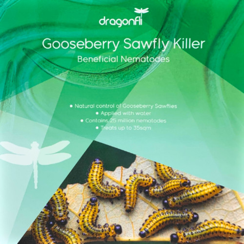 Gooseberry sawfly killer - sawfly,