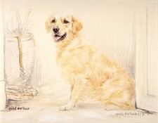 GOLDEN RETRIEVER DOG FINE ART