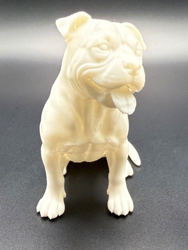 Staffordshire bull terrier - staffordshire, dog