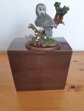 Country Artist Great Grey Owl