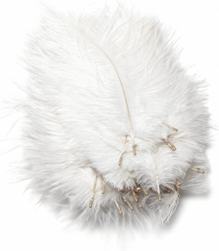 50pcs natural ostrich feathers - 50pcs,