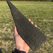 Long Flat Extinct Baleen Whale