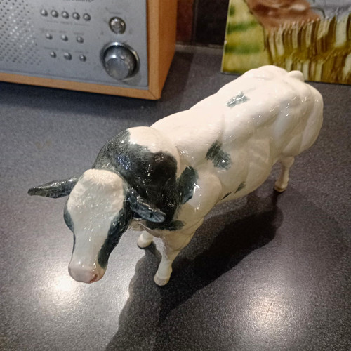 Border fine arts belgian blue - border,