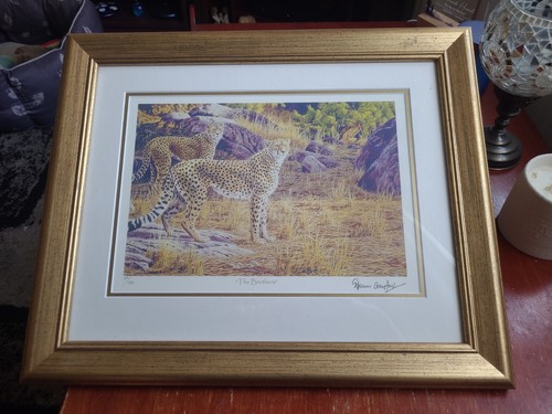 Stephen gayford signed print - stephen,