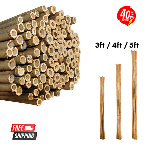 3ft 4ft 5ft bamboo - 3ft, canes