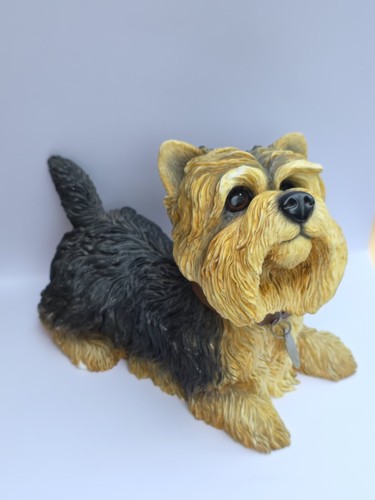 Yorkshire terrier dog - dog, ornament