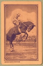 Cowboy Riding a Bucking Bronco