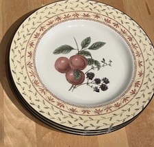 Johnson Brothers Fruit Sampler