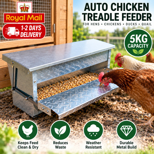 Auto chicken treadle - treadle, feeder