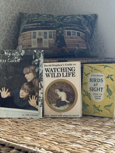 Bird watching vintage book - watching,
