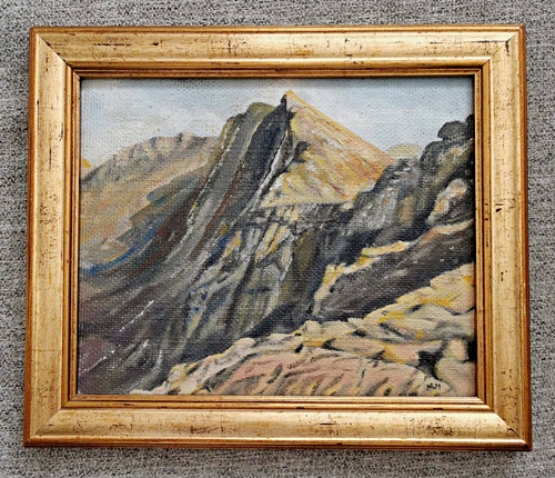 Framed original oil painting - framed,