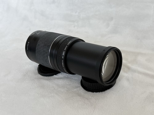 Canon 300mm 5 6 iii - 75-300mm,