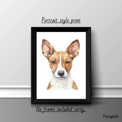Basenji dog pet - a4, picture