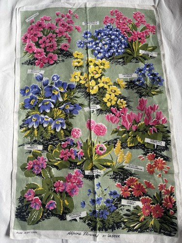 Alpine flowers vintage - alpine,