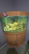 Juwel Aquarium 190 Tank