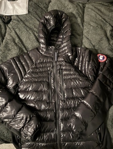 Canada goose men - goose, black