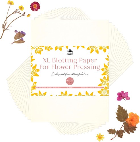 Blotting paper for flower - for,