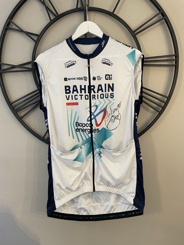 Bahrain victorious pro team - victorious,